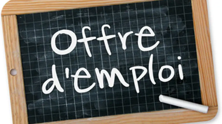 Offre d’emploi • Enseignant(es)